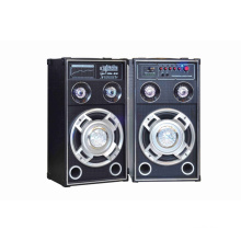 Hot Selling 2.0 Professional Active Speaker 6021